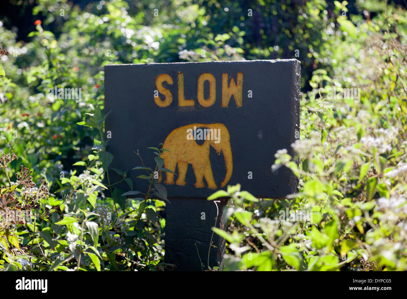 Elephant crossing sign in Dambulla, Sri Lanka 4 Stock Photo