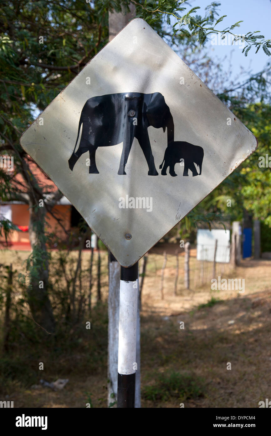 Elephant crossing sign in Dambulla, Sri Lanka 3 Stock Photo