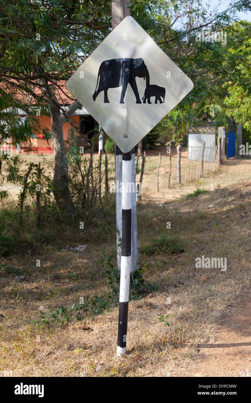 Elephant crossing sign in Dambulla, Sri Lanka Stock Photo