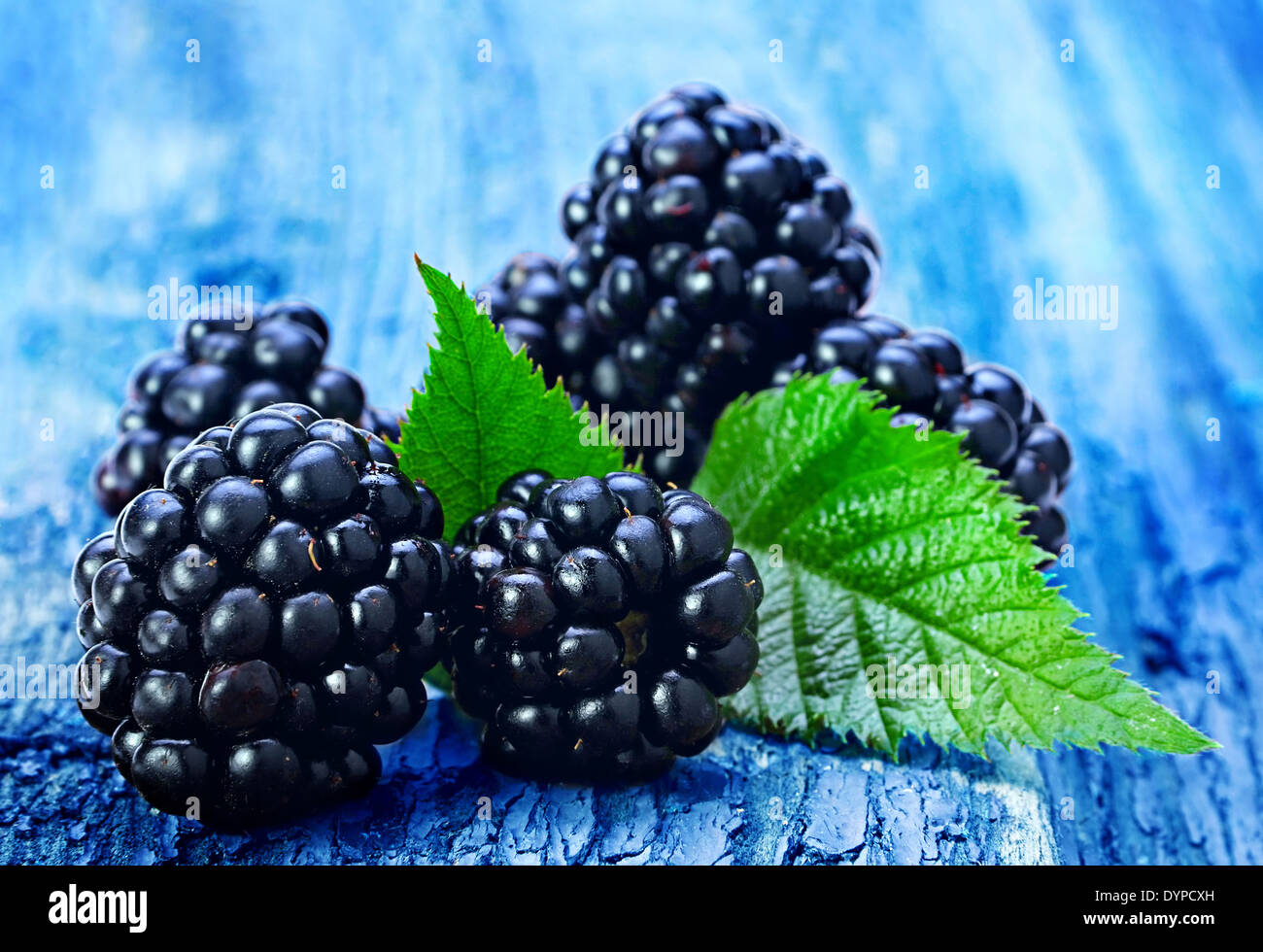 Blackberry fruit with leaf on old wood background Stock Photo