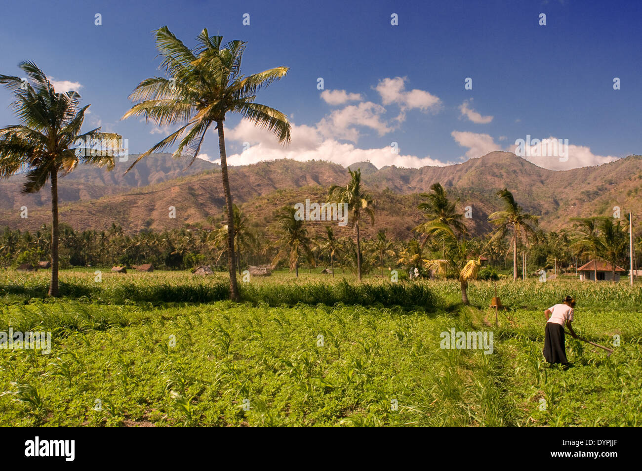 Camps near the fishing village of Amed East Bali culture. Amed is a long coastal strip of