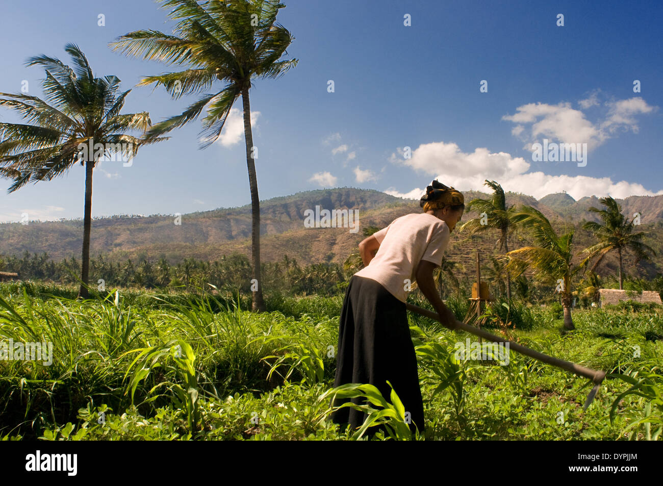 Camps near the fishing village of Amed East Bali culture. Amed is a long coastal strip of