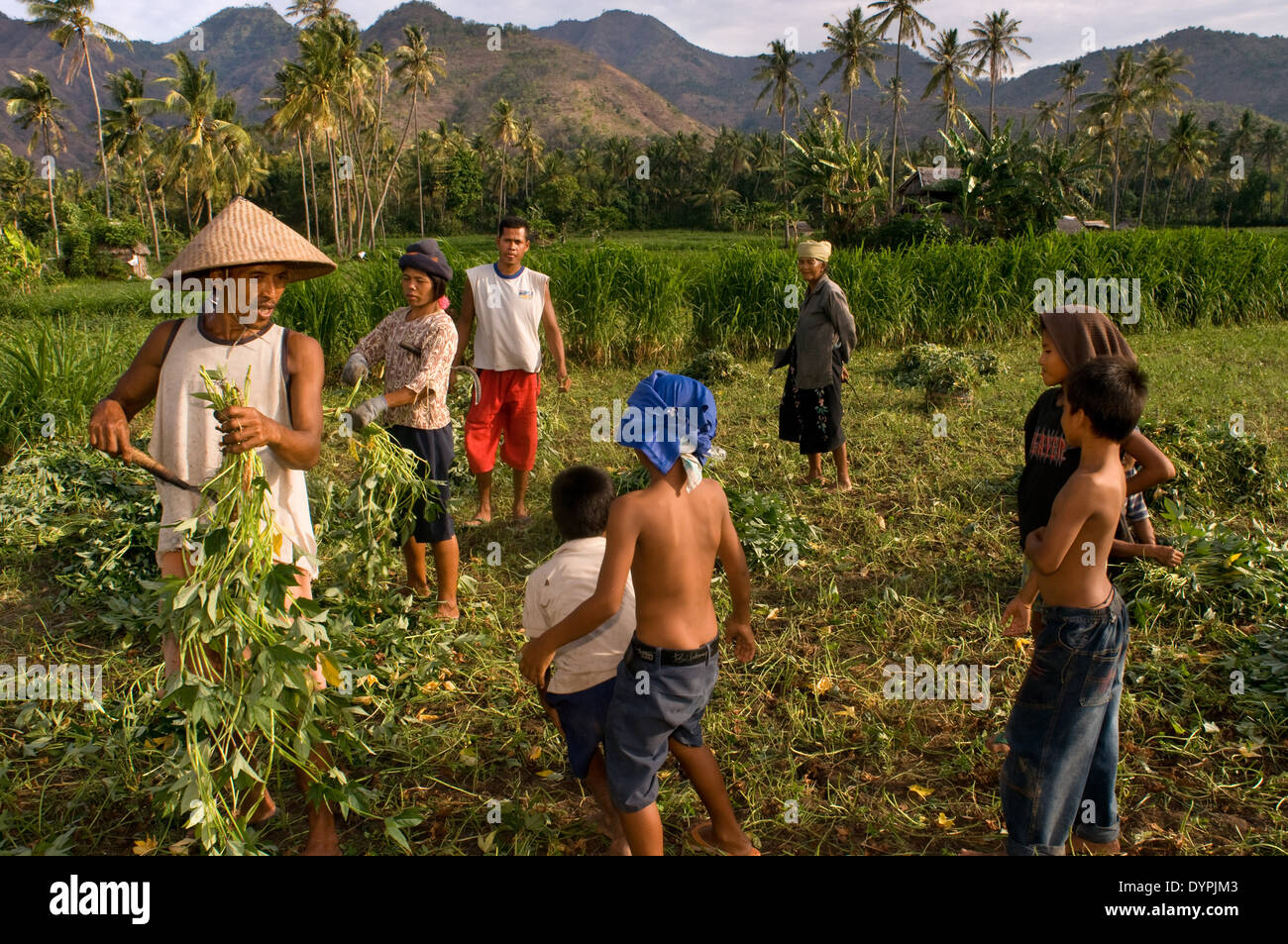 Camps near the fishing village of Amed East Bali culture. Amed is a long coastal strip of