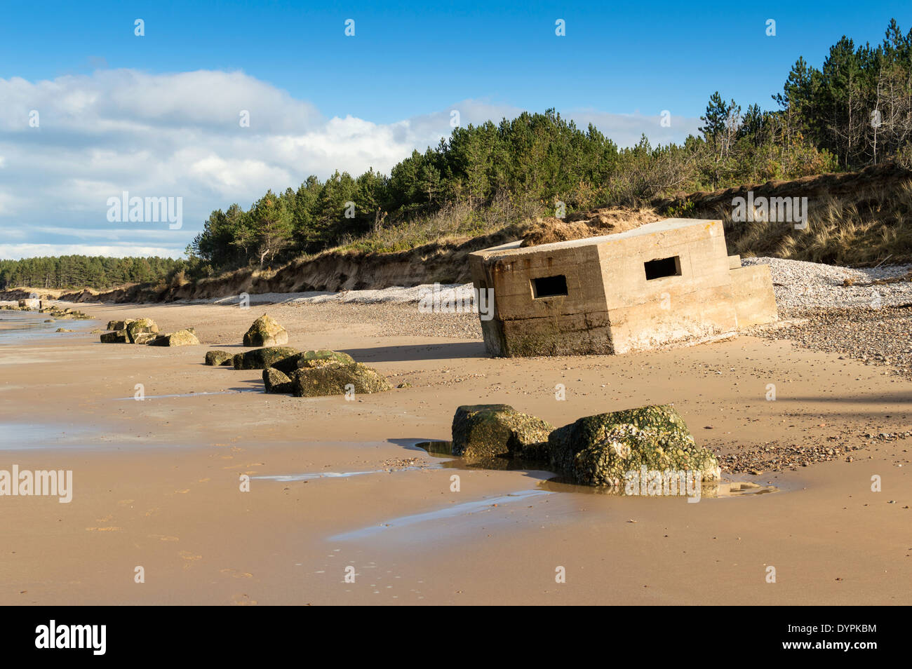 WORLD WAR II DEFENCES WITH PILLBOXES ON FINDHORN BEACH NOW GRADUALLY  SLIPPING INTO THE SEA Stock Photo