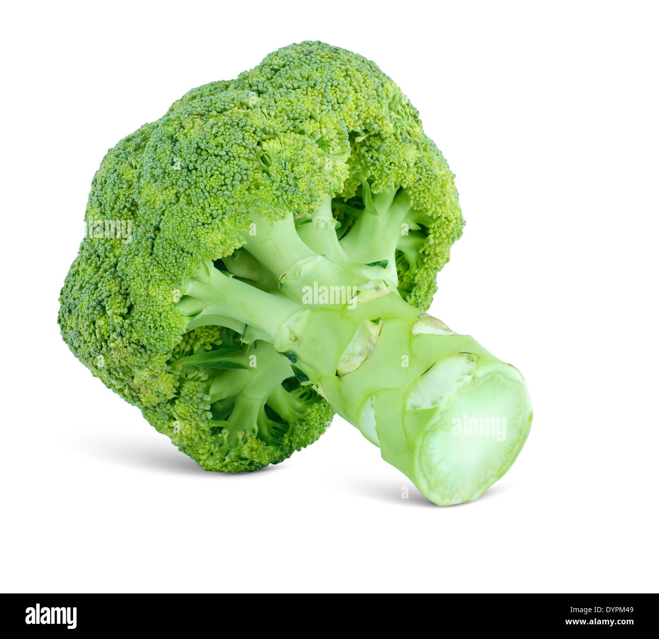 grade of cabbage broccoli, isolated on the white Stock Photo