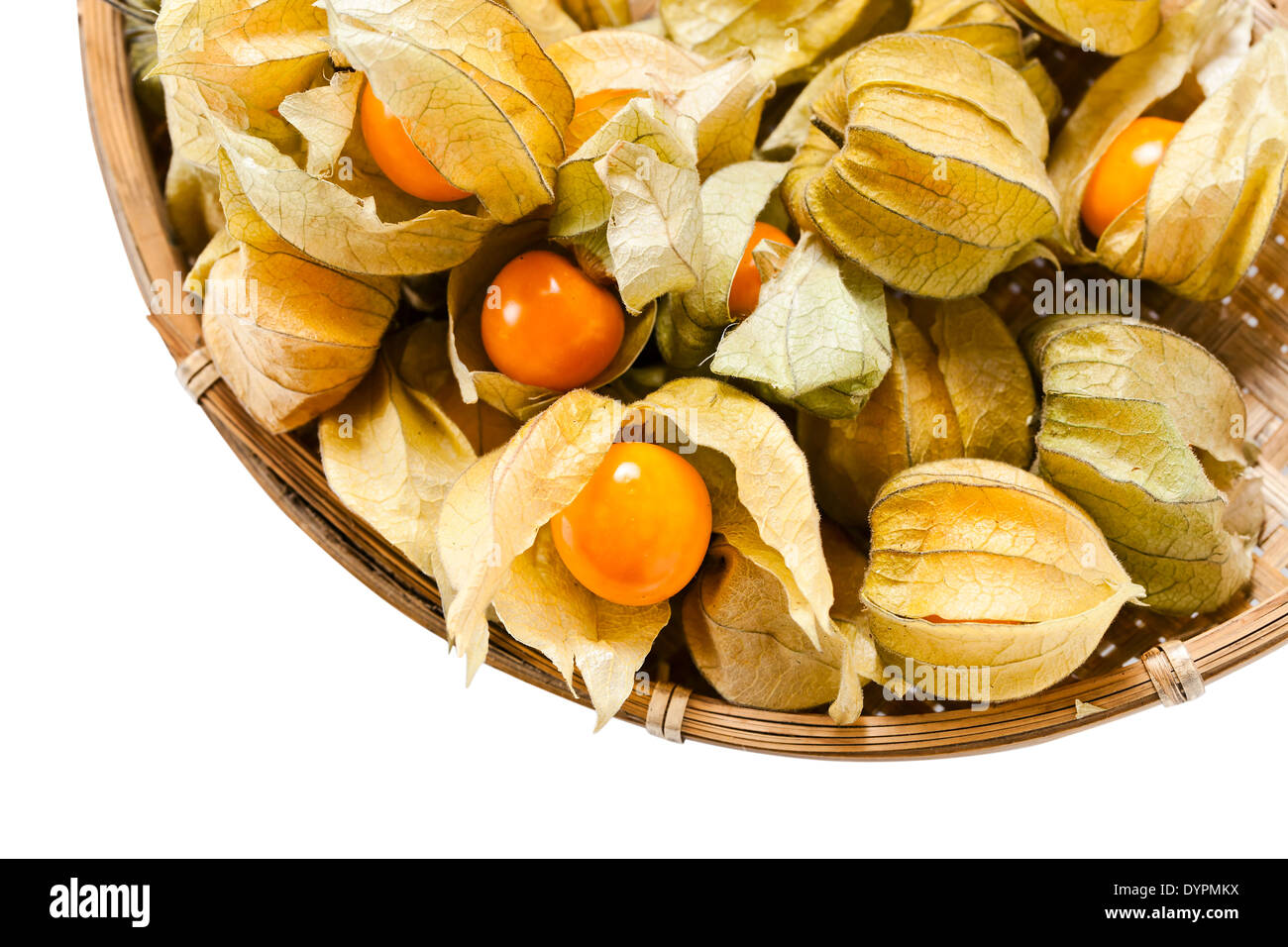 Physalis isolated on a white background, saved clipping path Stock Photo