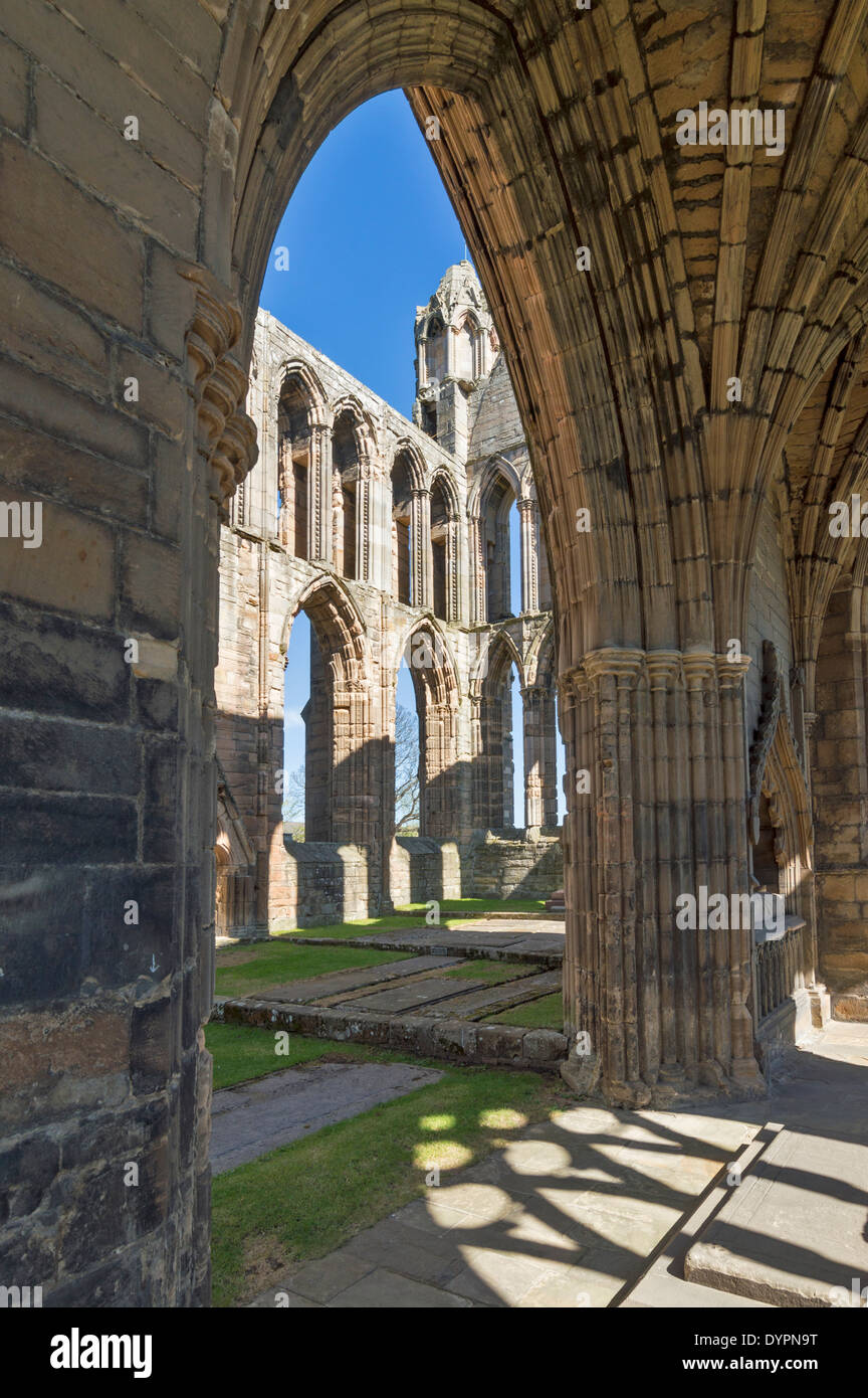 ELGIN CATHEDRAL WINDOWS AND COLUMNS WITH A TOMB AND STATUE MORAY SCOTLAND Stock Photo