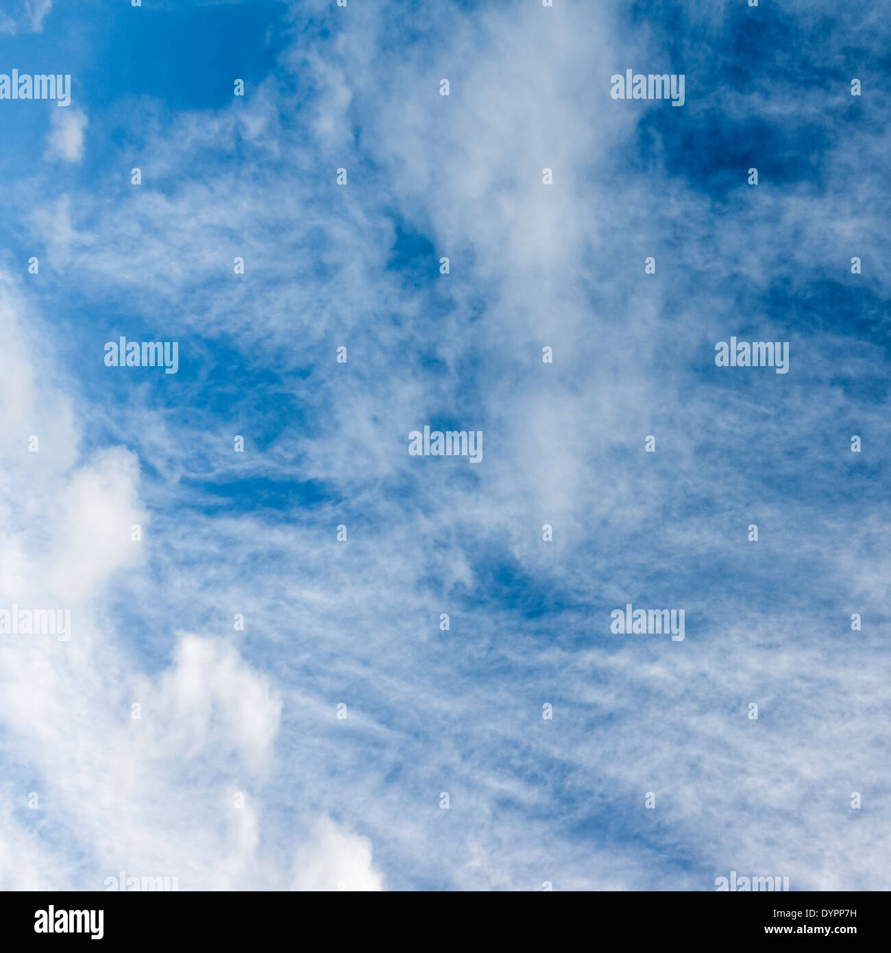 Semi-abstract patterns of wispy white cloud against a blue sky; square format. Stock Photo
