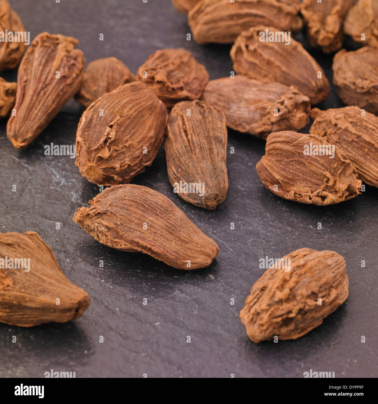 Whole Black Cardamom Pods on a slate background, Studio Shot Stock