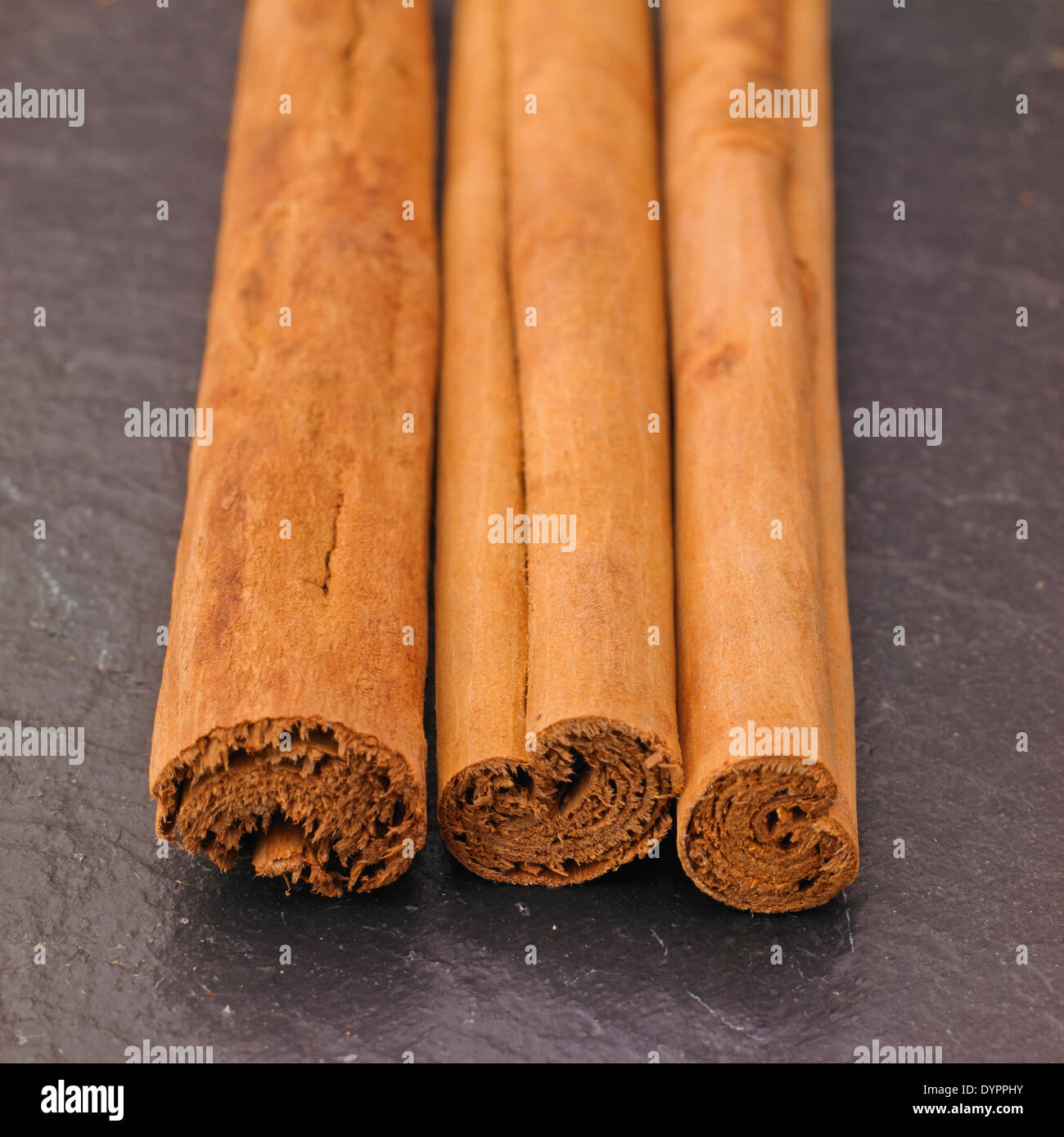 Cinnamon Sticks on a slate background, Studio Shot Stock Photo Alamy