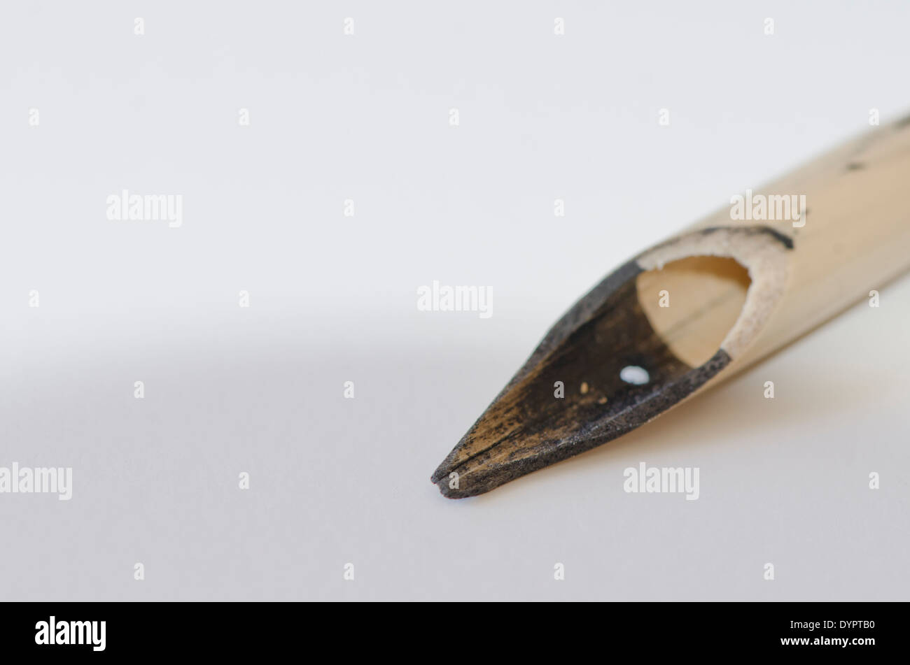 Bamboo Reed Pen, tip dipped in ink Stock Photo Alamy