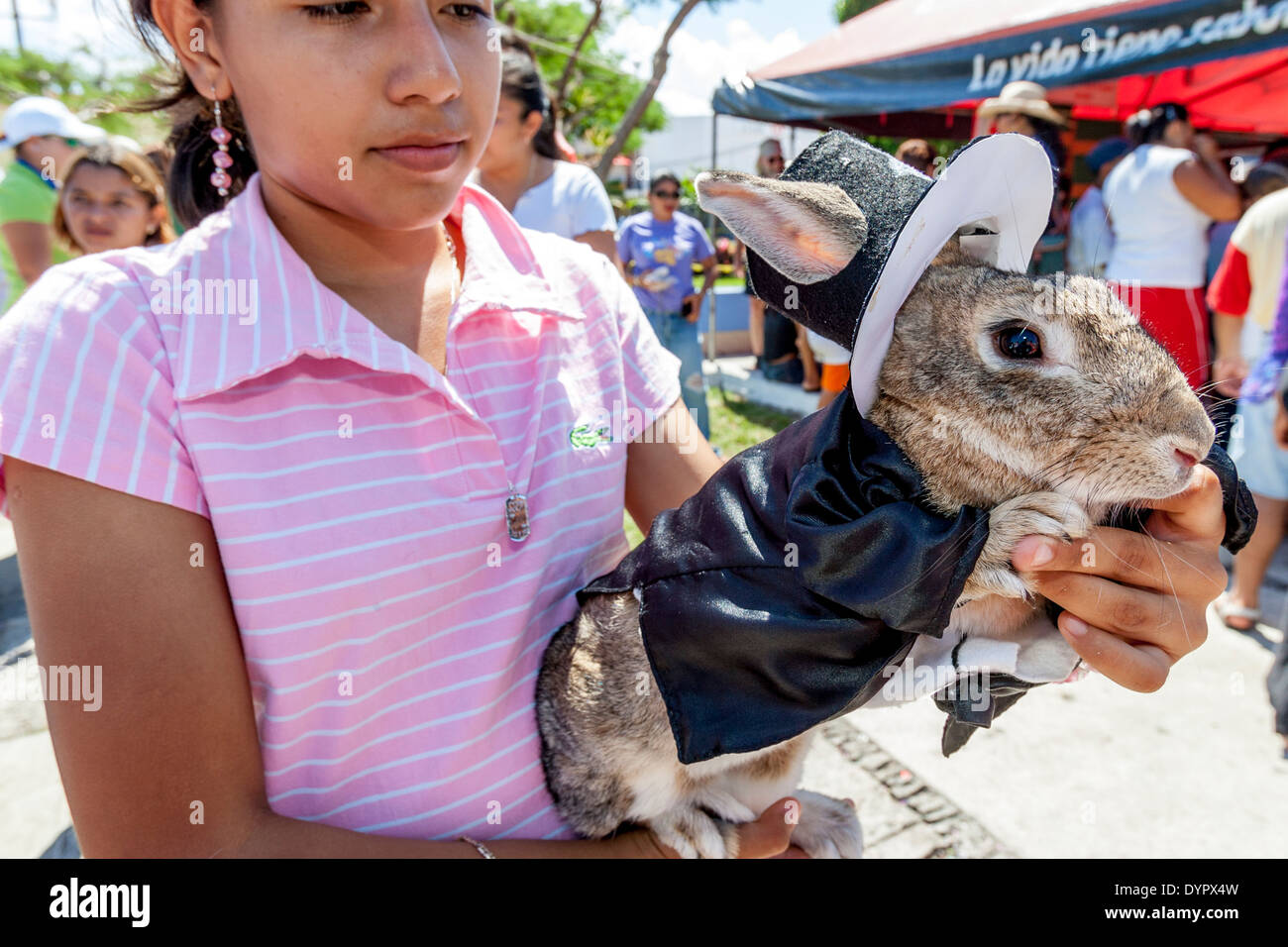Rabbit costumes hi-res stock photography and images - Alamy