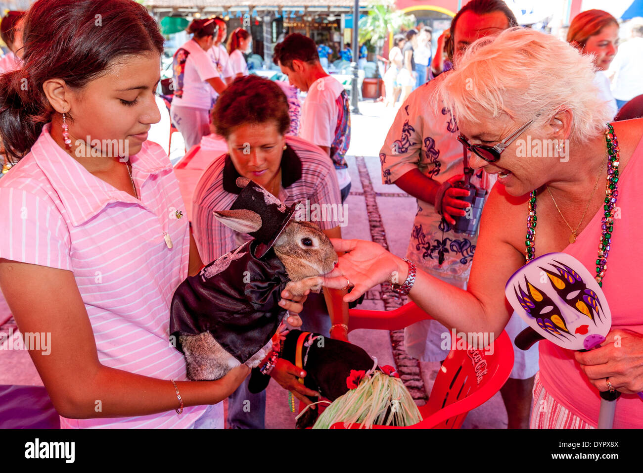 Rabbit costumes hi-res stock photography and images - Alamy