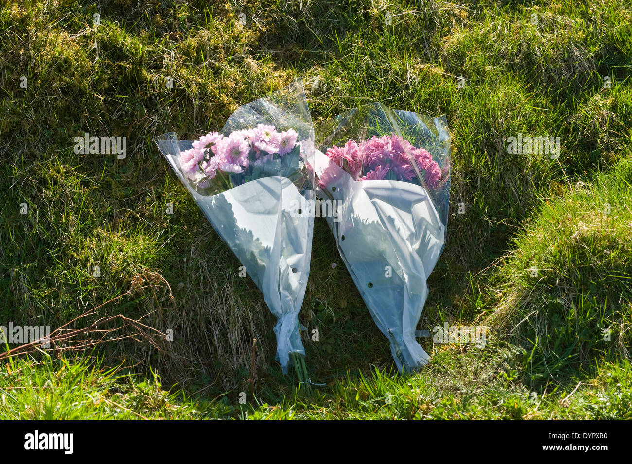 Bouquets of flowers left near Wynford Vaughan-Thomas memorial viewpoint toposcope near Aberhosan Powys Mid Wales UK Stock Photo