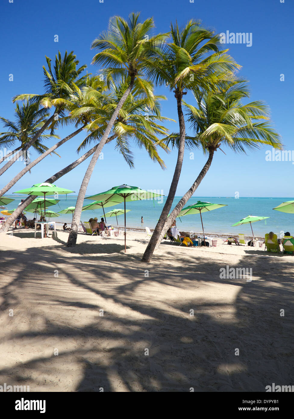 Tropical Brazilian beach with palm trees and beach umbrellas in Maceio Alagoas Nordeste Brazil Stock Photo