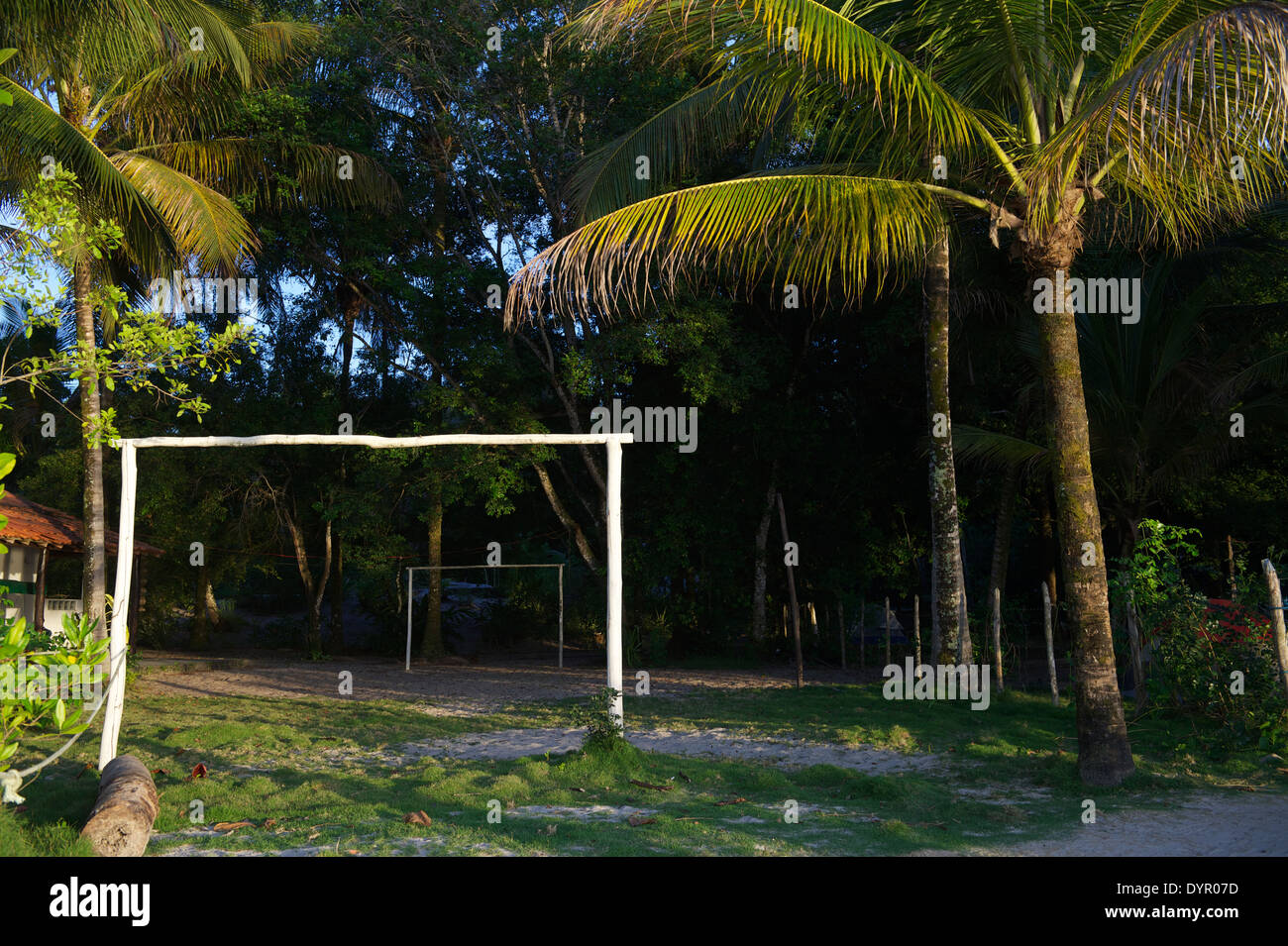 Simple tropical Brazilian football pitch with rustic goal posts surrounded by palm trees Stock Photo