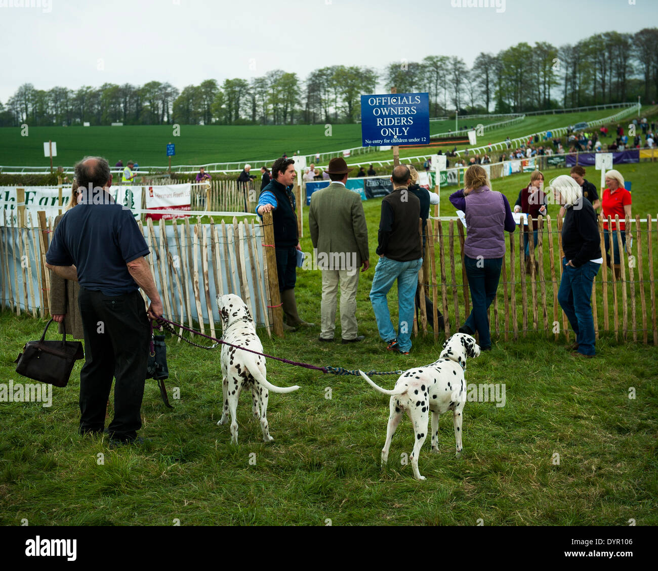 man with dalmations at point to point Stock Photo