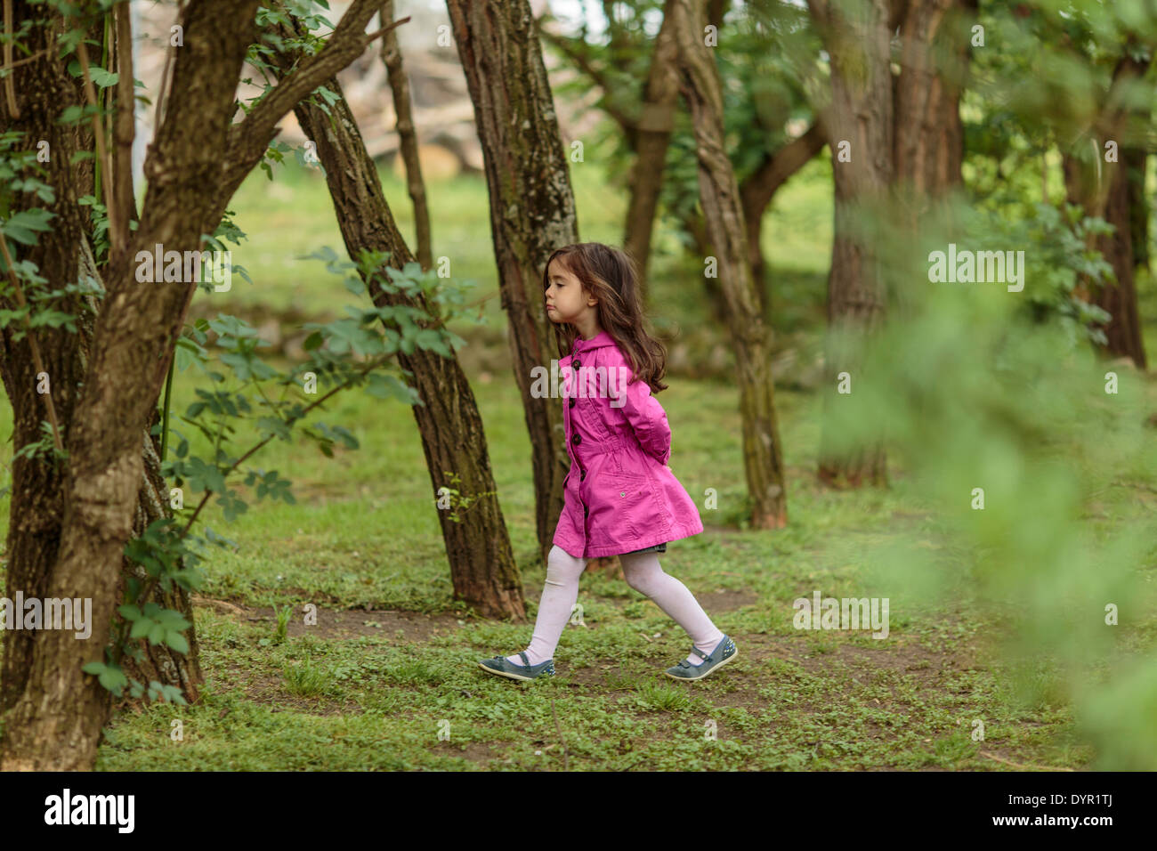 Little girl walking in the woods Stock Photo - Alamy