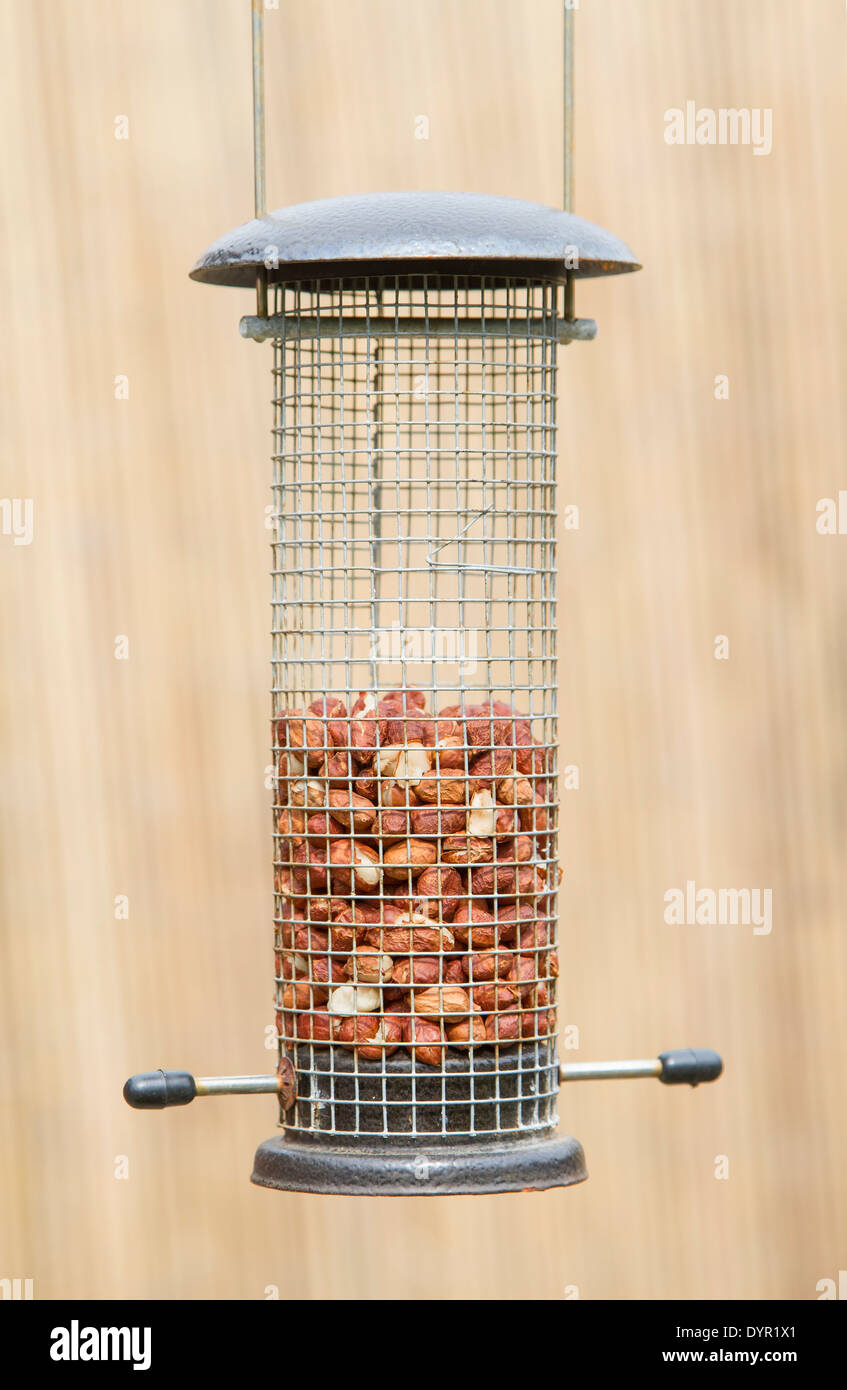 Bird feeder with peanuts Stock Photo Alamy
