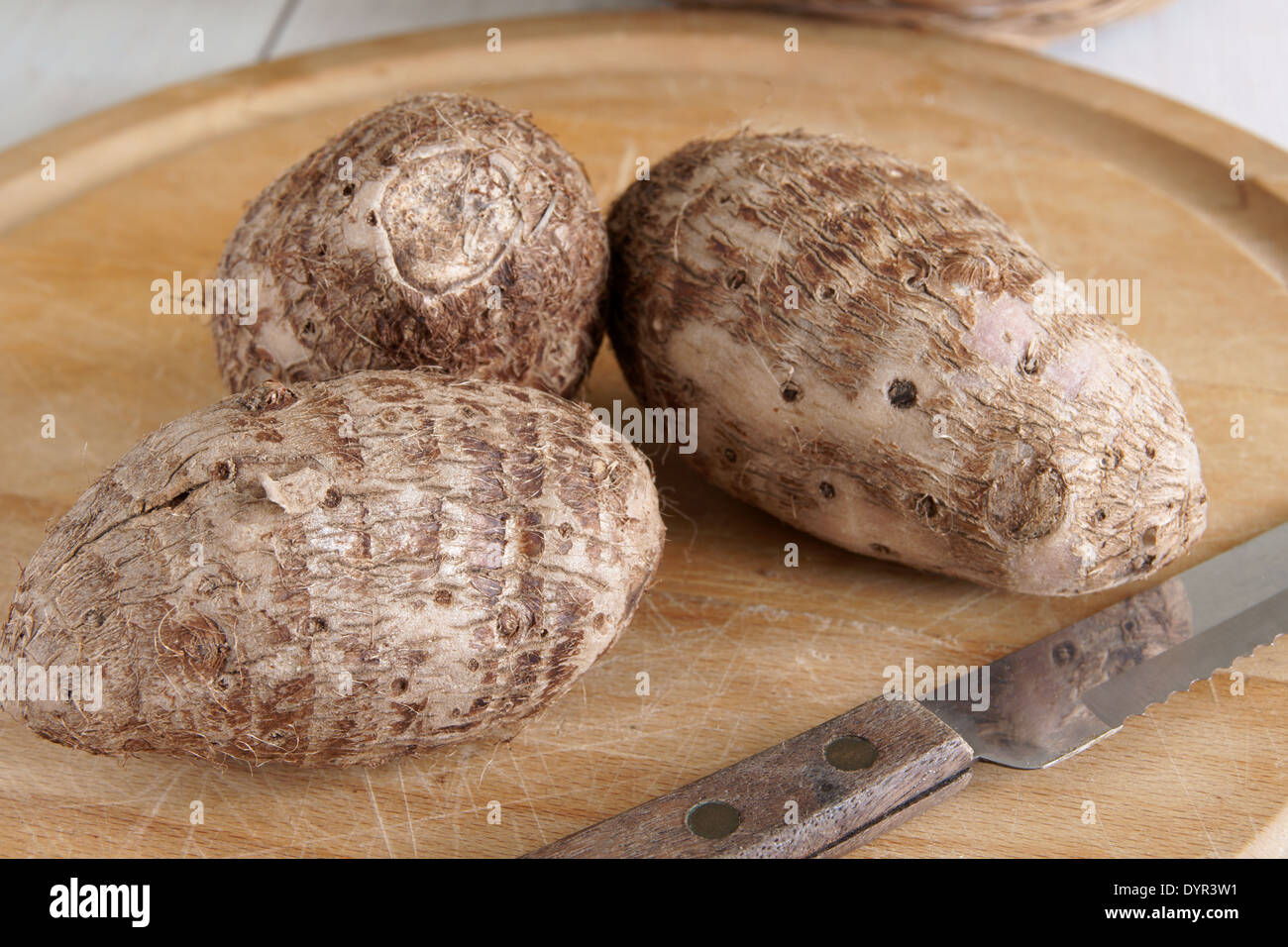 Eddoe or Eddo a tropical root vegetable latin name Colocasia antiquorum closely related to Taro Stock Photo