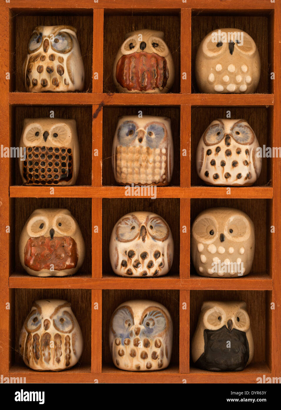 Wooden display shelf of twelve miniature glazed pottery owl ornaments Stock Photo