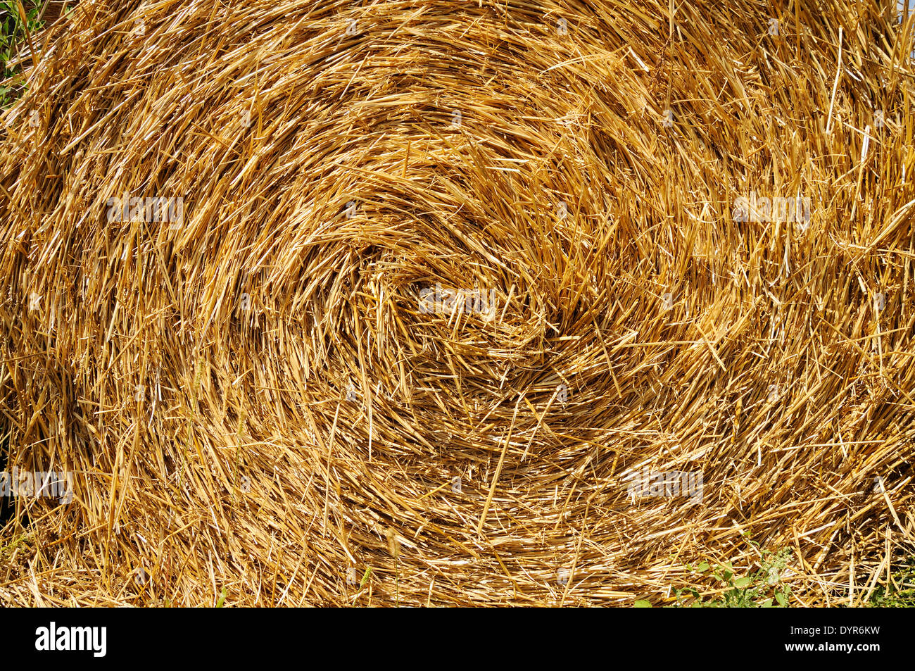 Spiral of yellow haystack in bright summer light. background Stock Photo