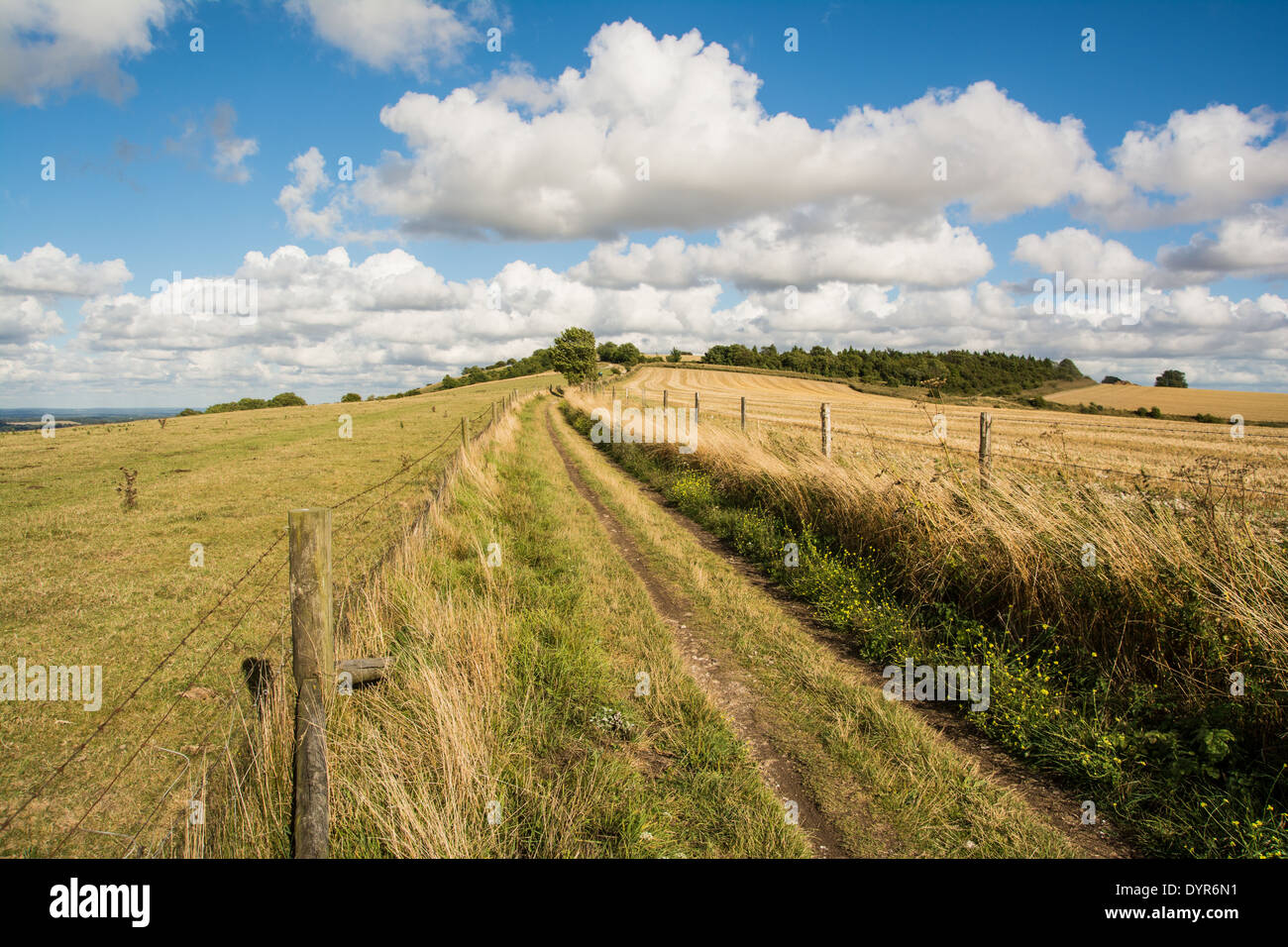 The South Downs Way in the South Downs National Park near the village