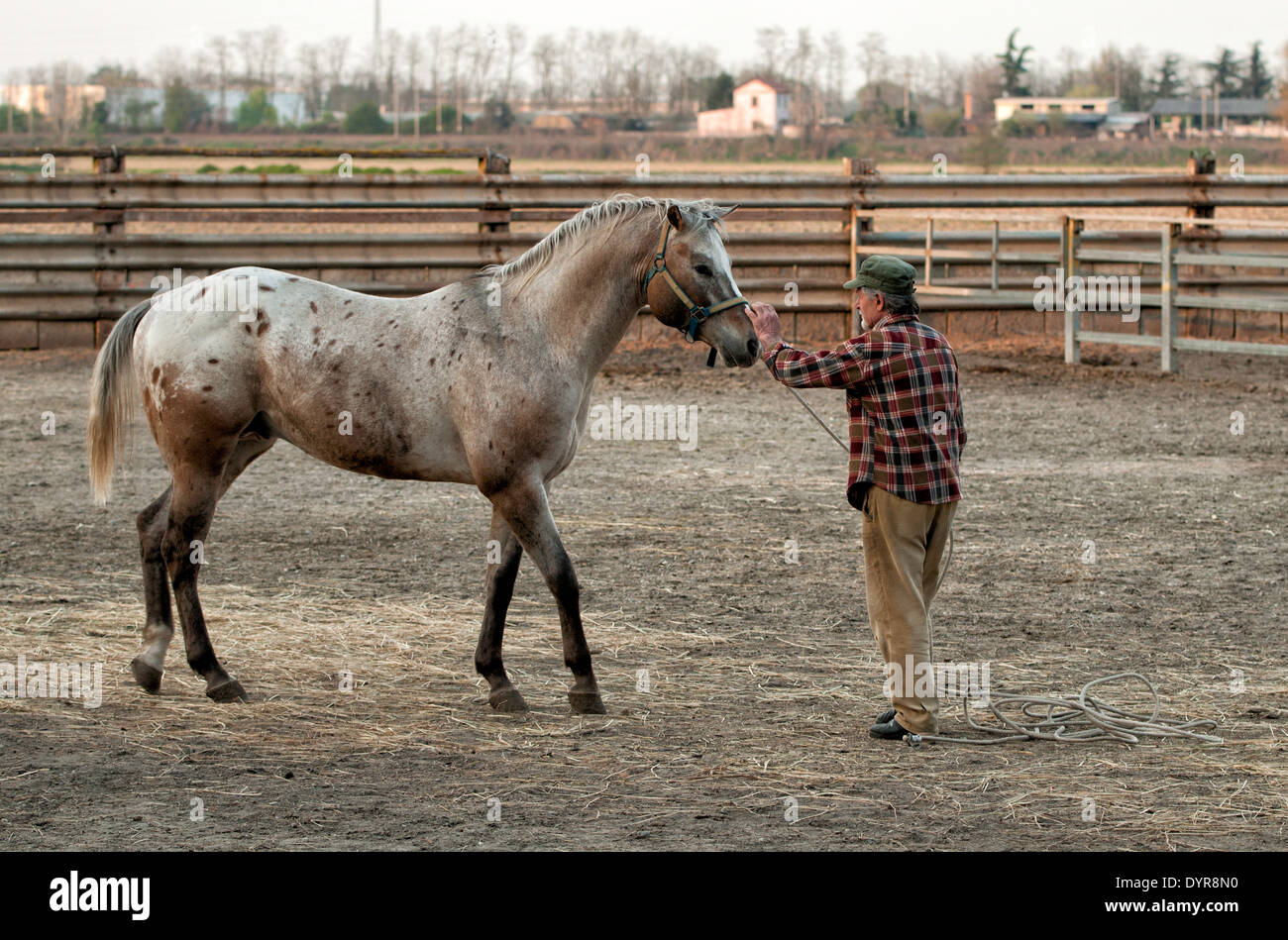 A man and his horse Stock Photo