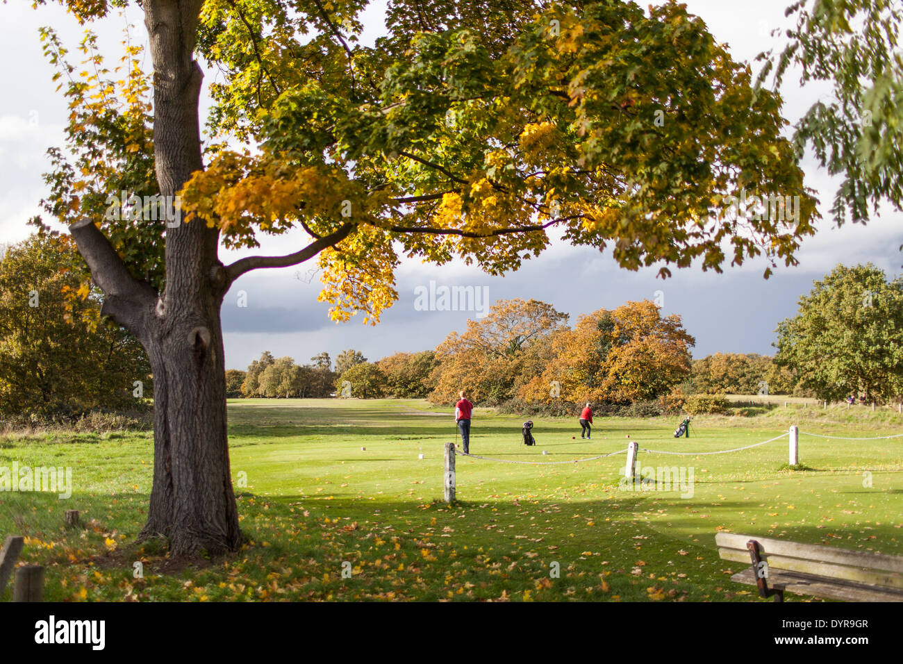 Golfers playing in a beautiful autumn landscape at a golf course in Wimbledon, London, Uk Stock Photo