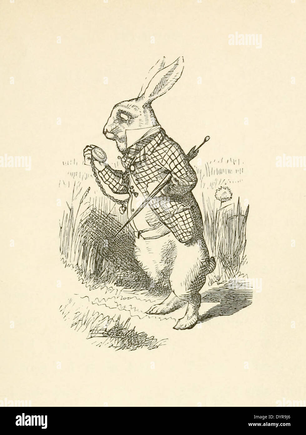 Sir John Tenniel  (1820-1914) illustration from 'Alice in Wonderland' by Lewis Carroll first published in 1865. The White Rabbit Stock Photo