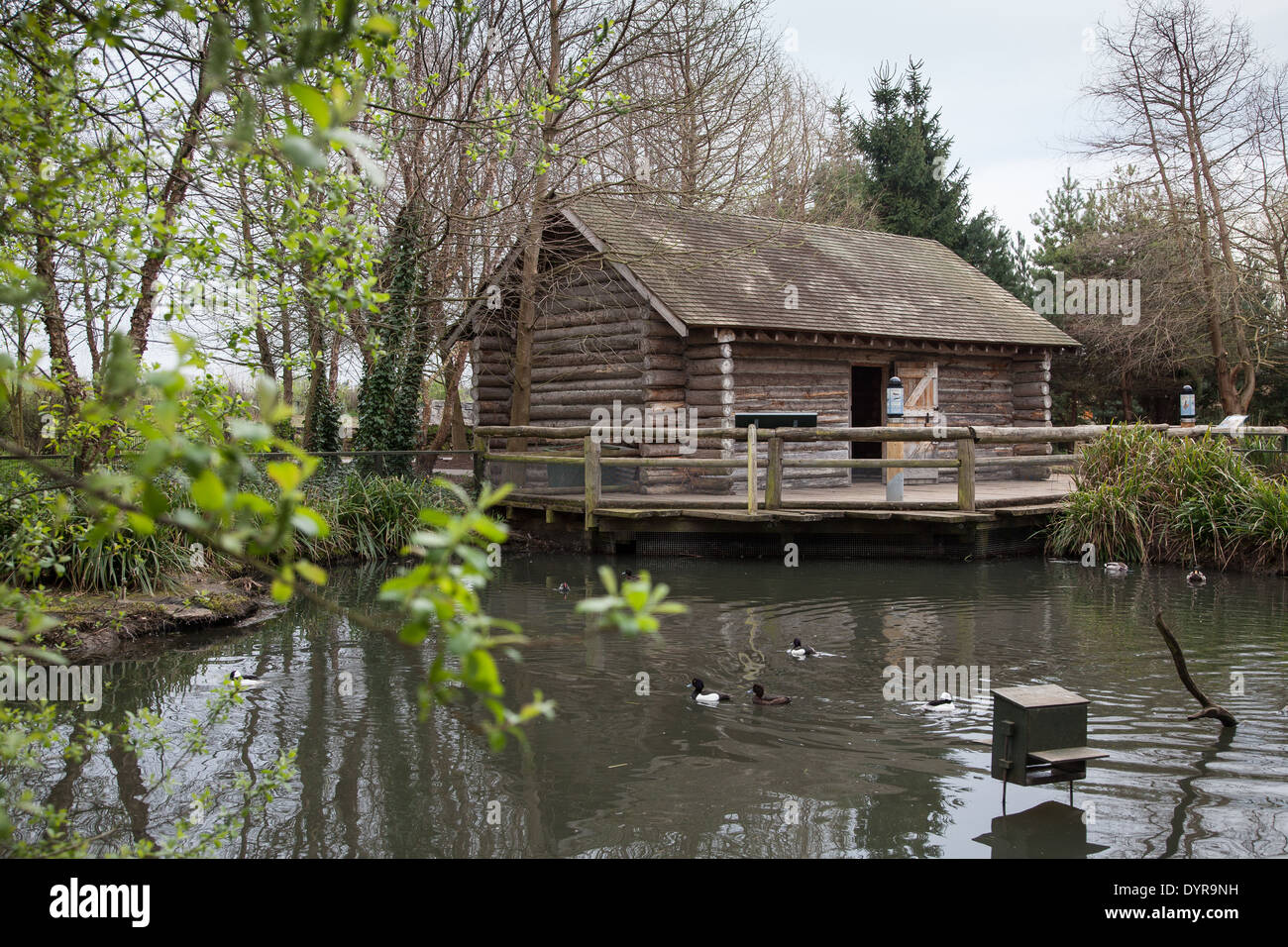Log Cabin On Small Lake Stock Photos Log Cabin On Small Lake