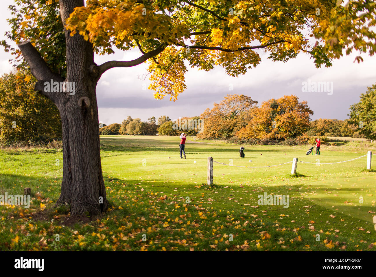 Golfers playing in a beautiful autumn landscape at a golf course in Wimbledon, London, Uk Stock Photo