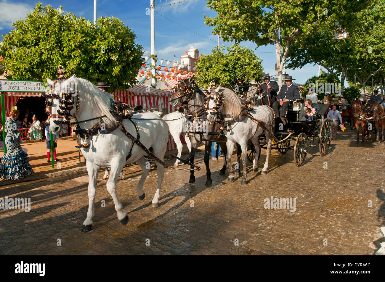 april-fair-horse-carriage-seville-region-of-andalusia-spain-europe