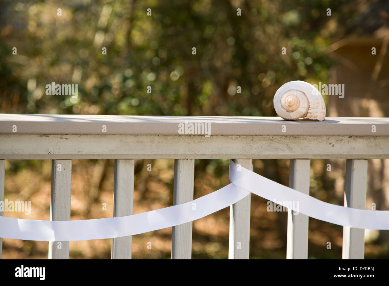 Shell With Ribbon wooden railing with white ribbon and sea shell Stock Photo - Alamy