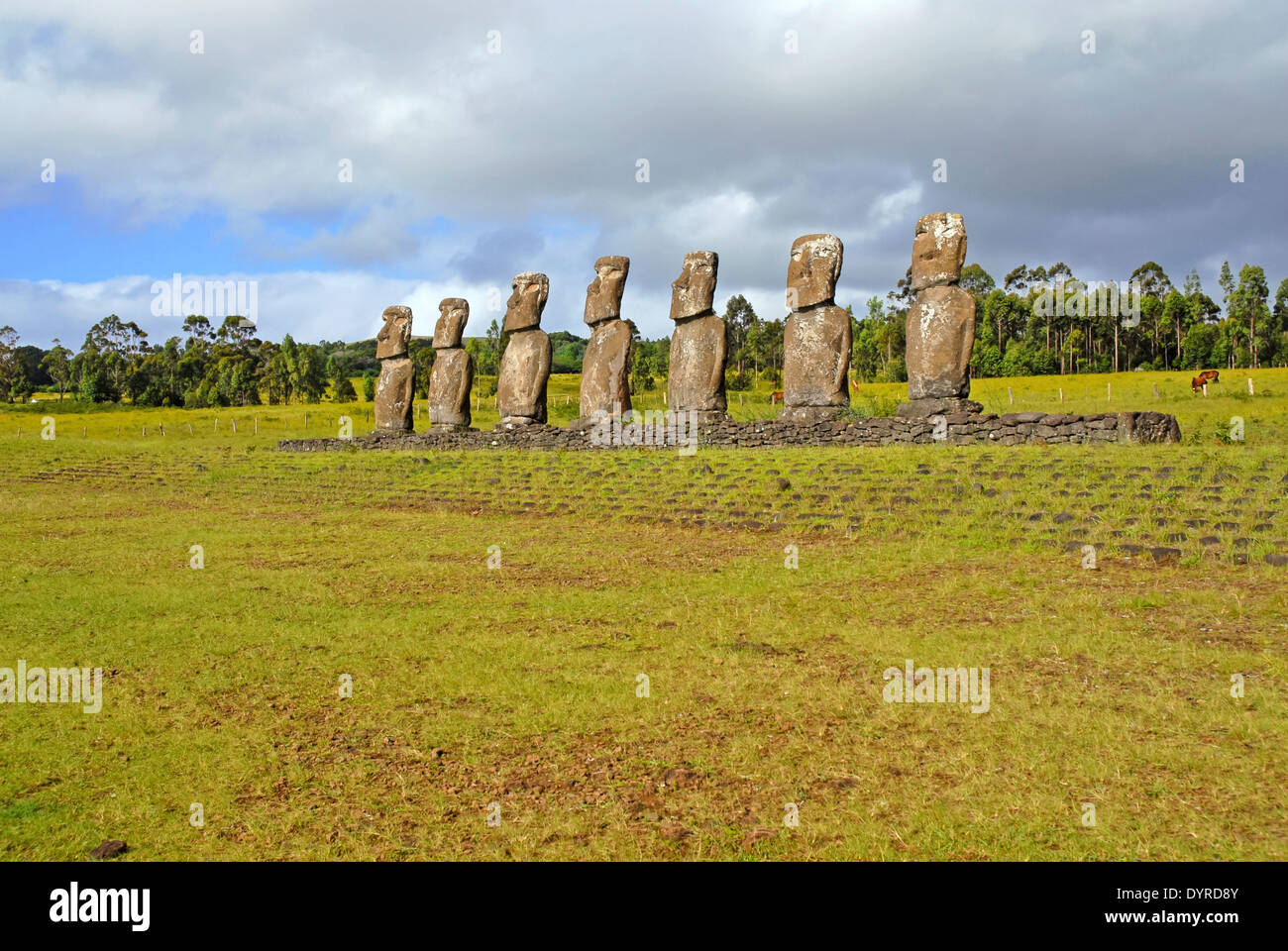 Rapa Nui, Easter Island Moai statues, South Pacific islands, Chile