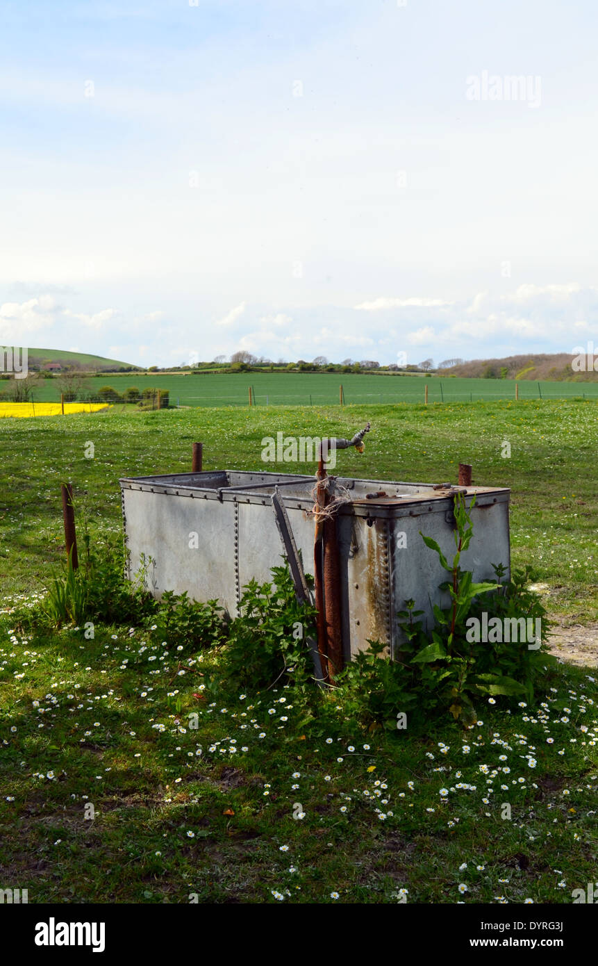 Livestock water trough in farm field Stock Photo Alamy