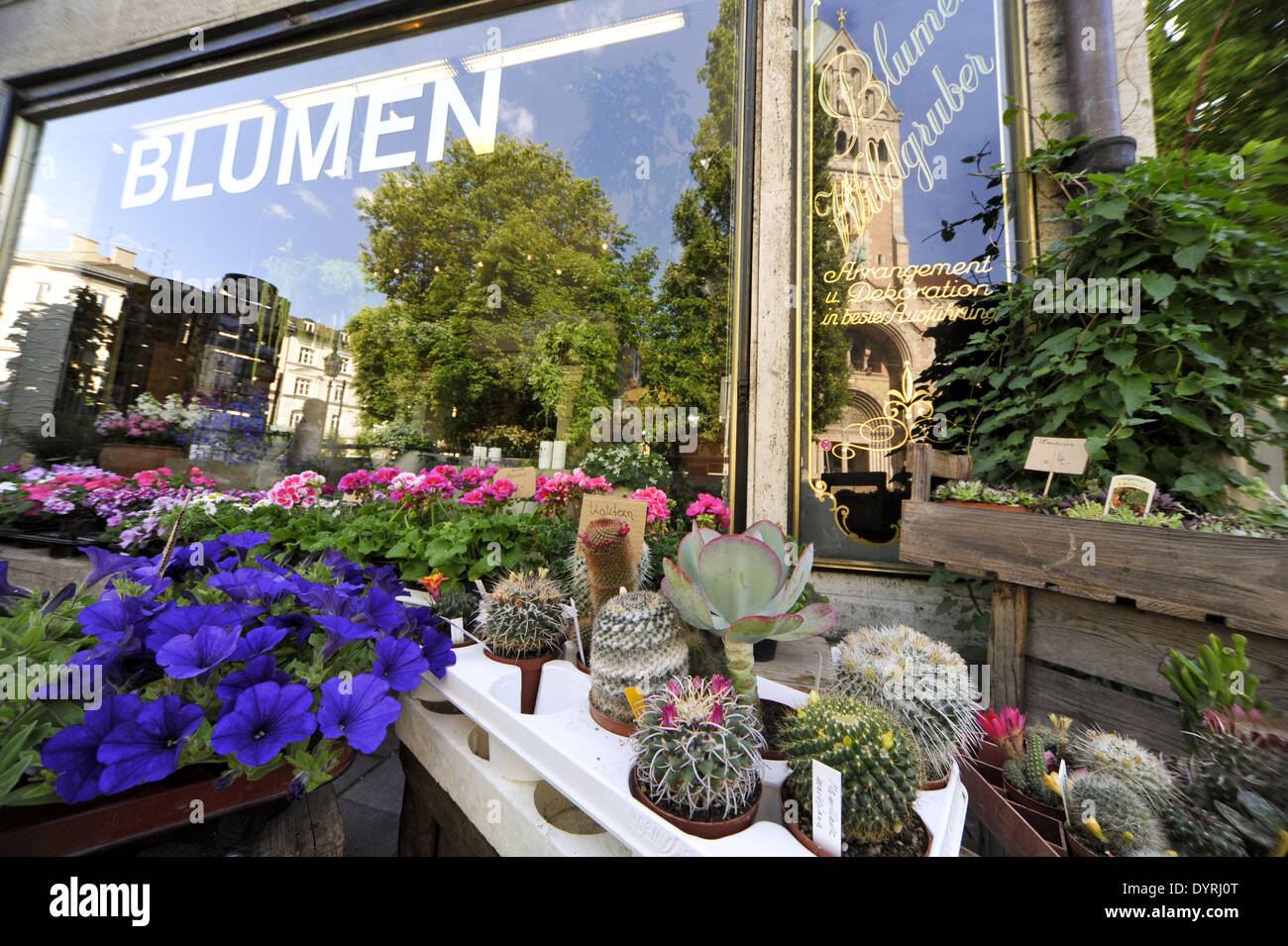 Flower shop in Munich, 2011 Stock Photo Alamy