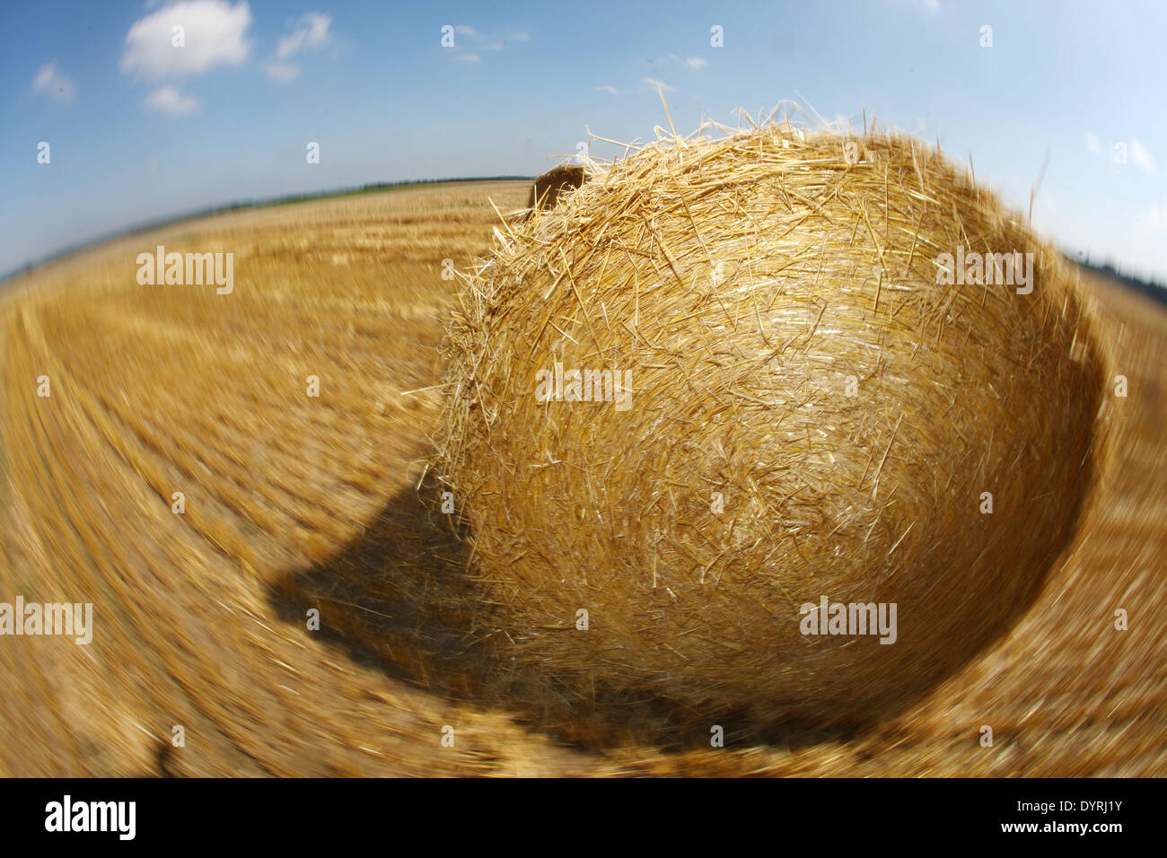 Grain field after harvest in Alling, 2009 Stock Photo - Alamy