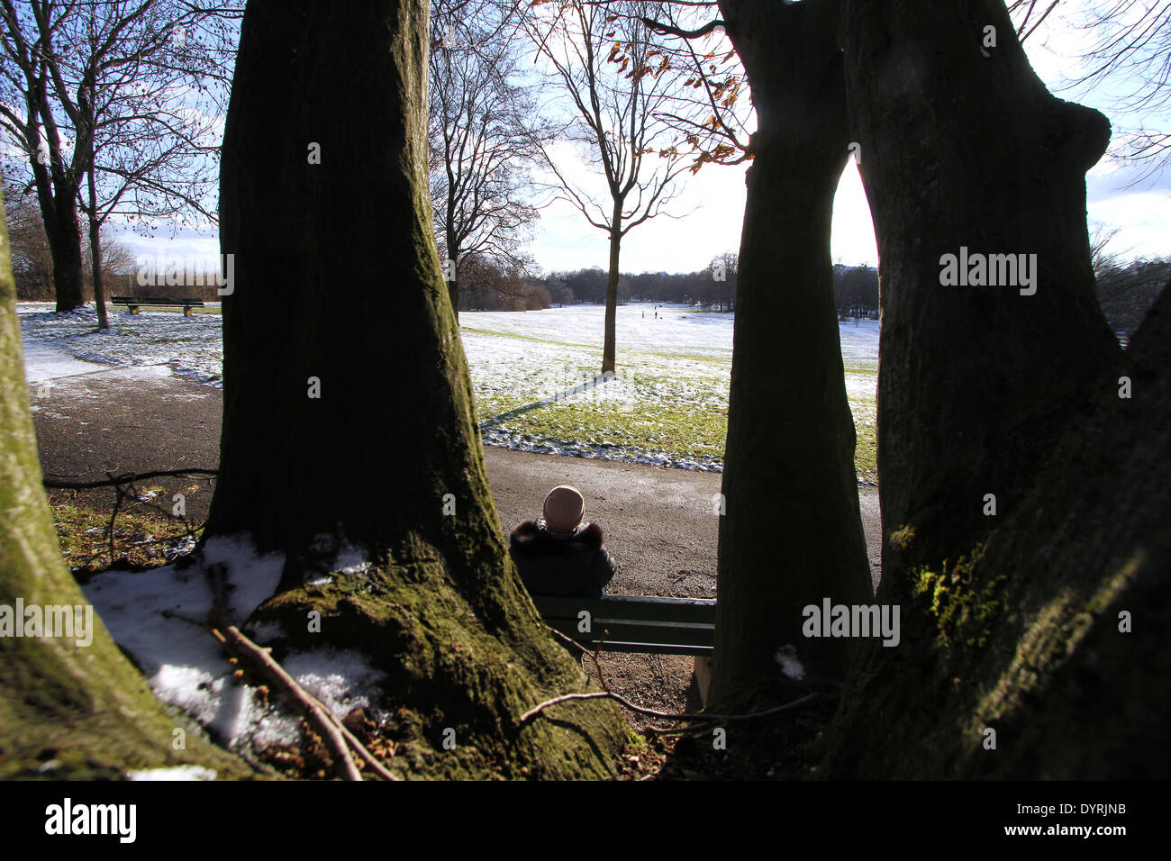 Bench Neuhofer Berg Munich Stock Photos Bench Neuhofer Berg