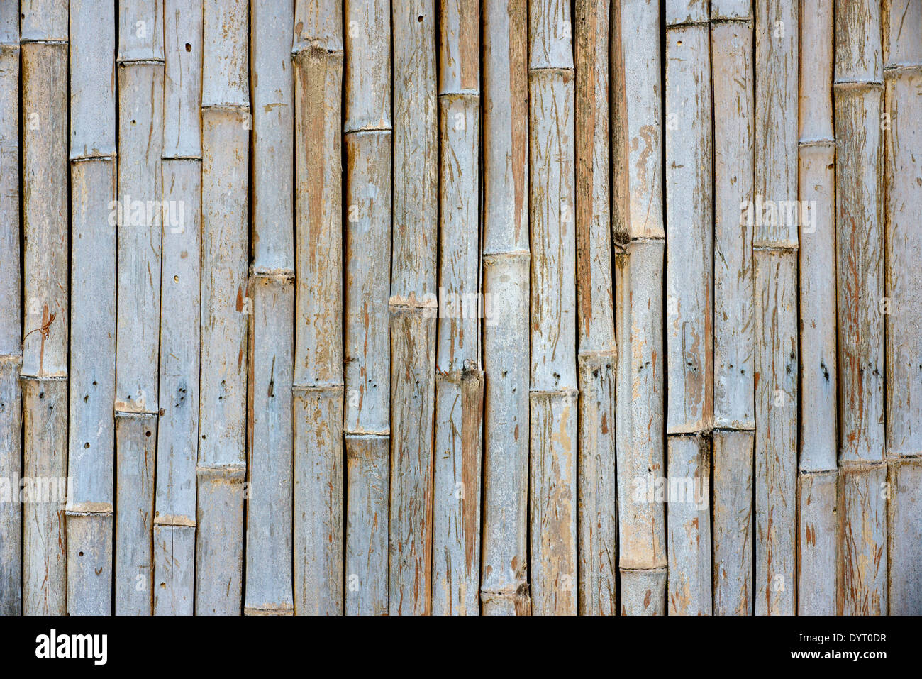 Background texture of old bamboo fence wall Stock Photo