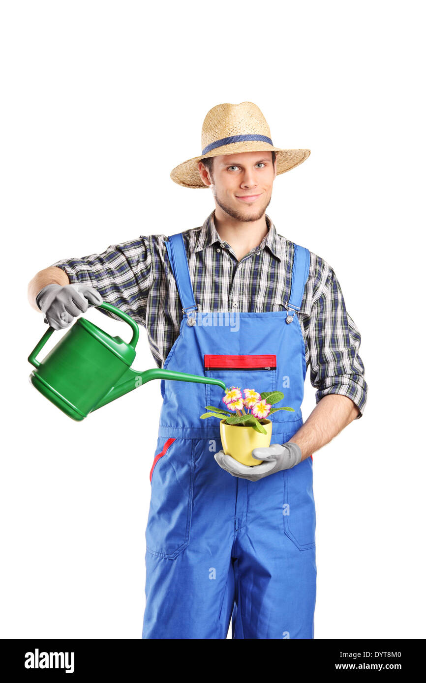 Male horticulturist watering a plant Stock Photo