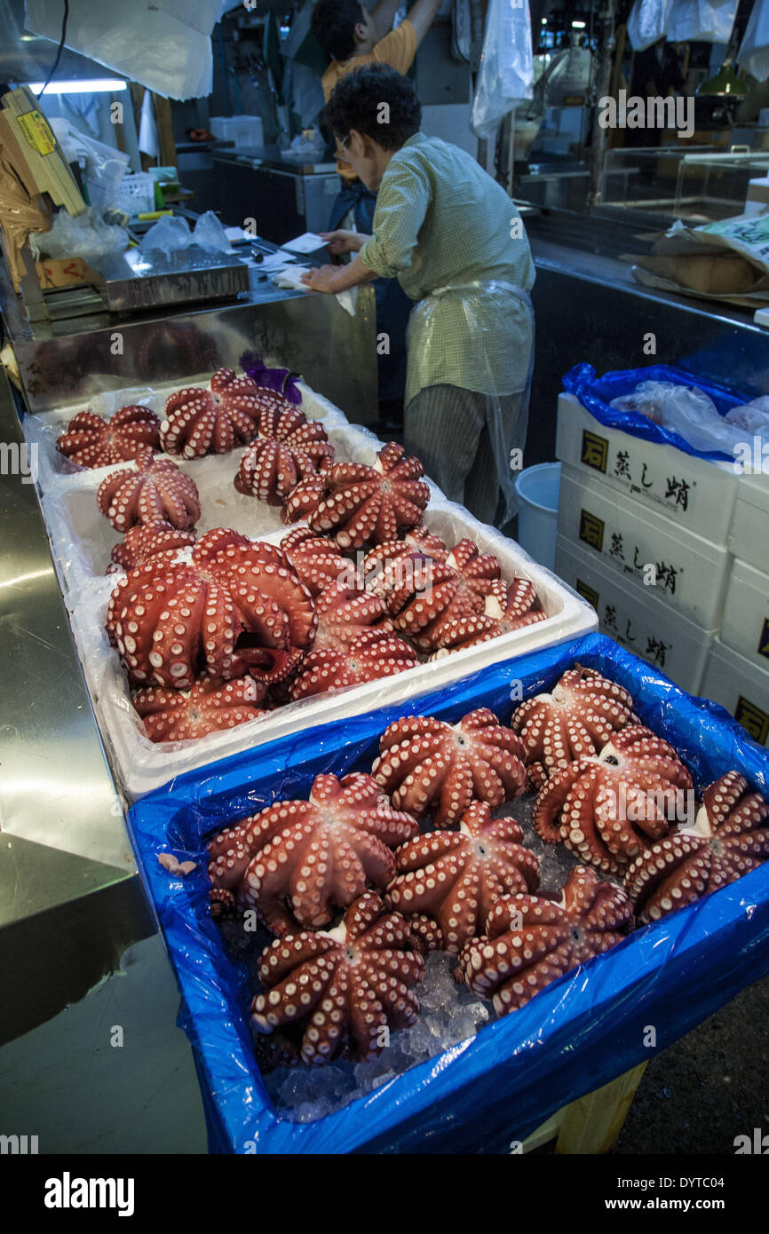 Tokyo Octopus Octopus are selling at Tsukiji market in Tokyo Stock Photo - Alamy