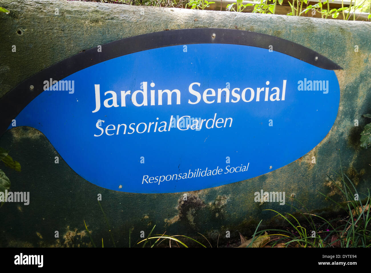 EL CAMINO DE LA SABIDURÍA, image size:1300x956