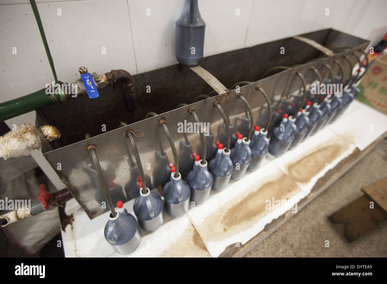 Style line production hi-res stock photography and images - Alamy