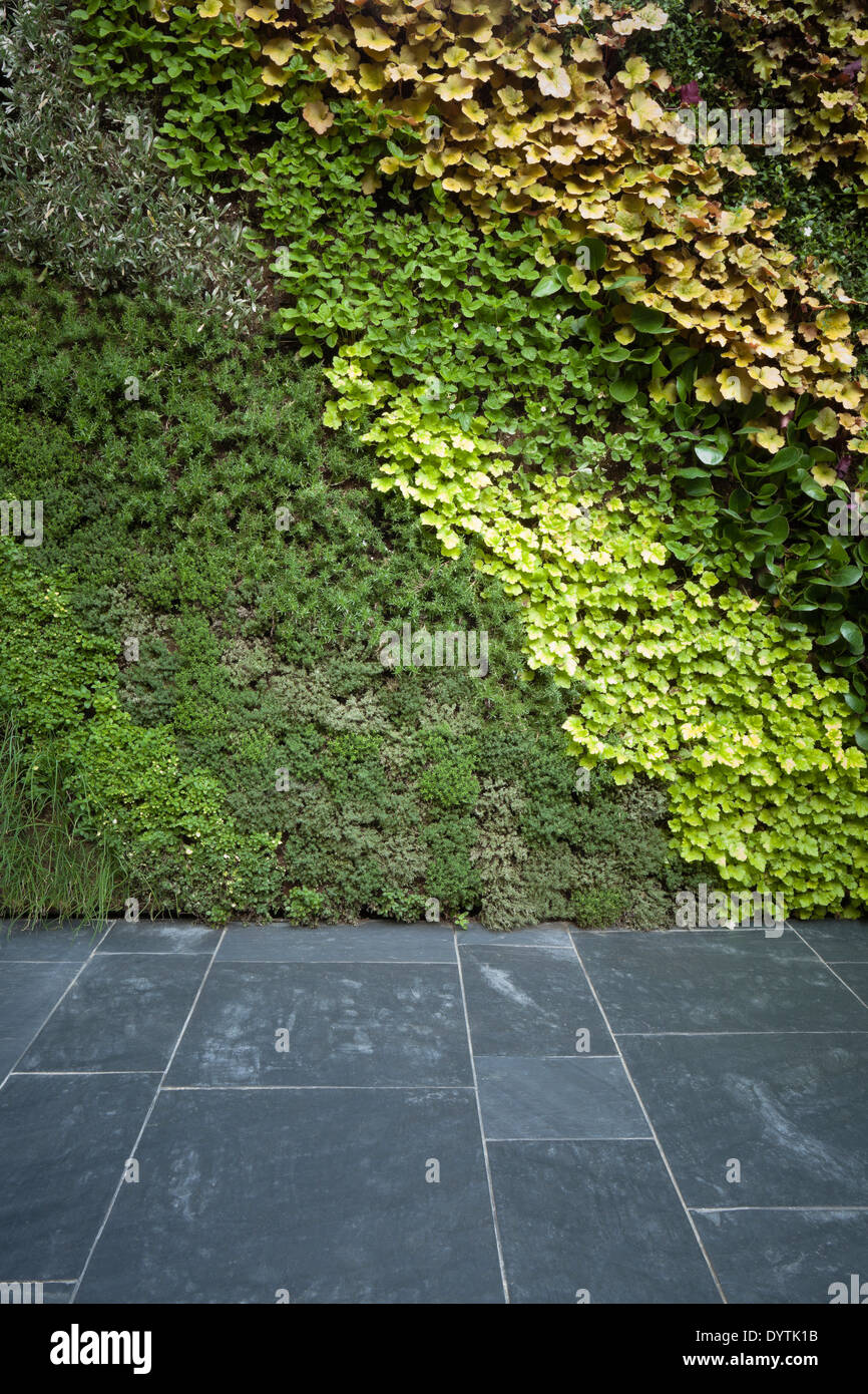 Patio garden at basement level at the house in Notting Hill London UK designed by Modular