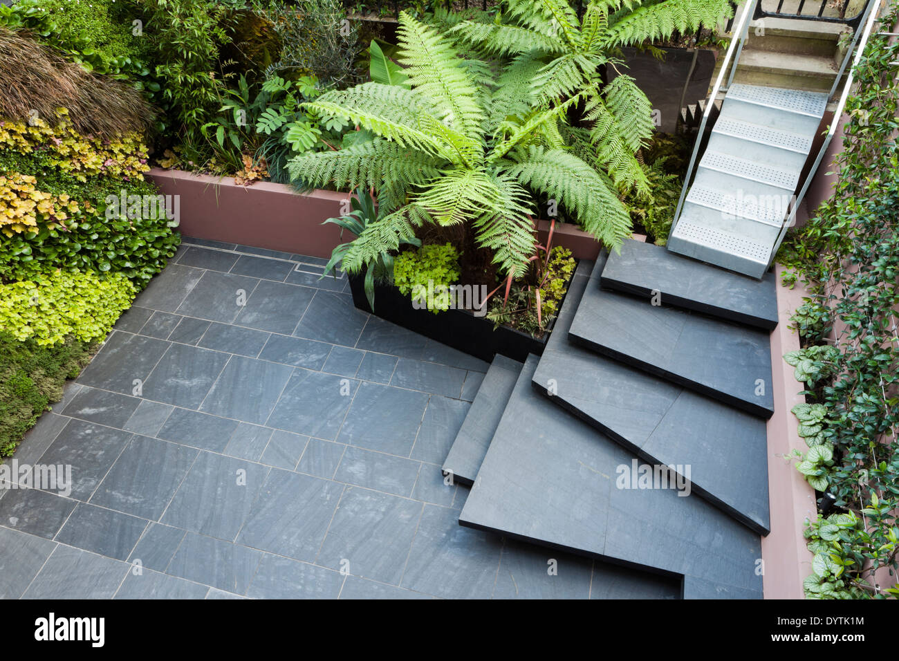 Patio garden at basement level at the Morgan house in Notting Hill London UK designed by Modular Gardens in conjunction with Stock Photo