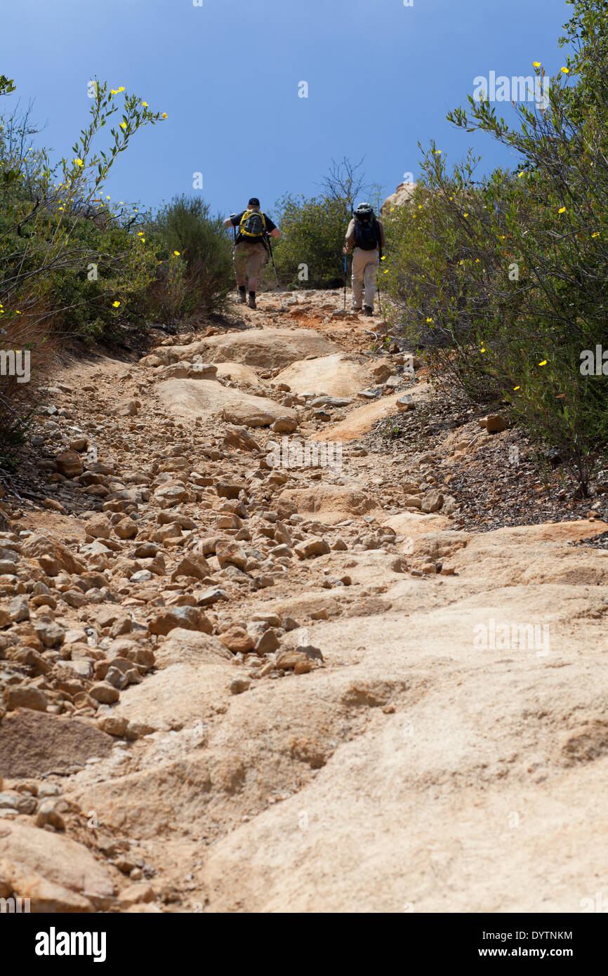 Hikers going uphill at the El Cajon mountain trail, in April 2013. Stock Photo