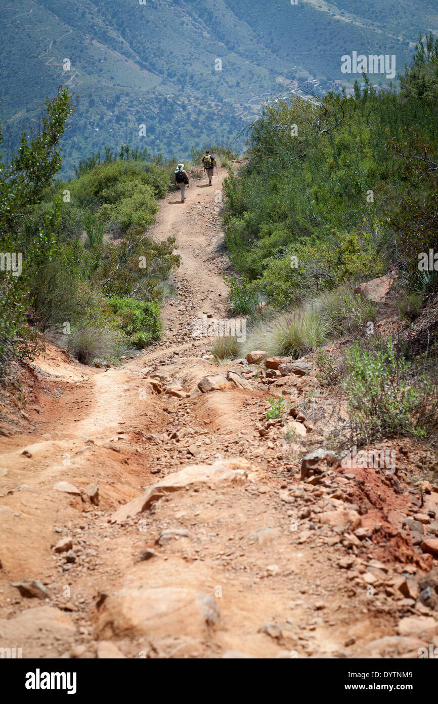 Hikers going downhill at the El Cajon mountain trail, in April 2013. Stock Photo
