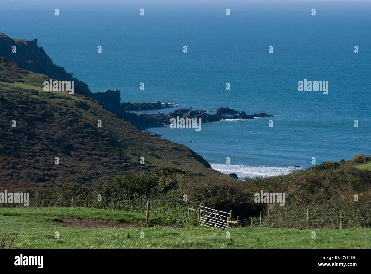 Coastline and coastal path near Sandymouth, Cornwall, UK Stock Photo