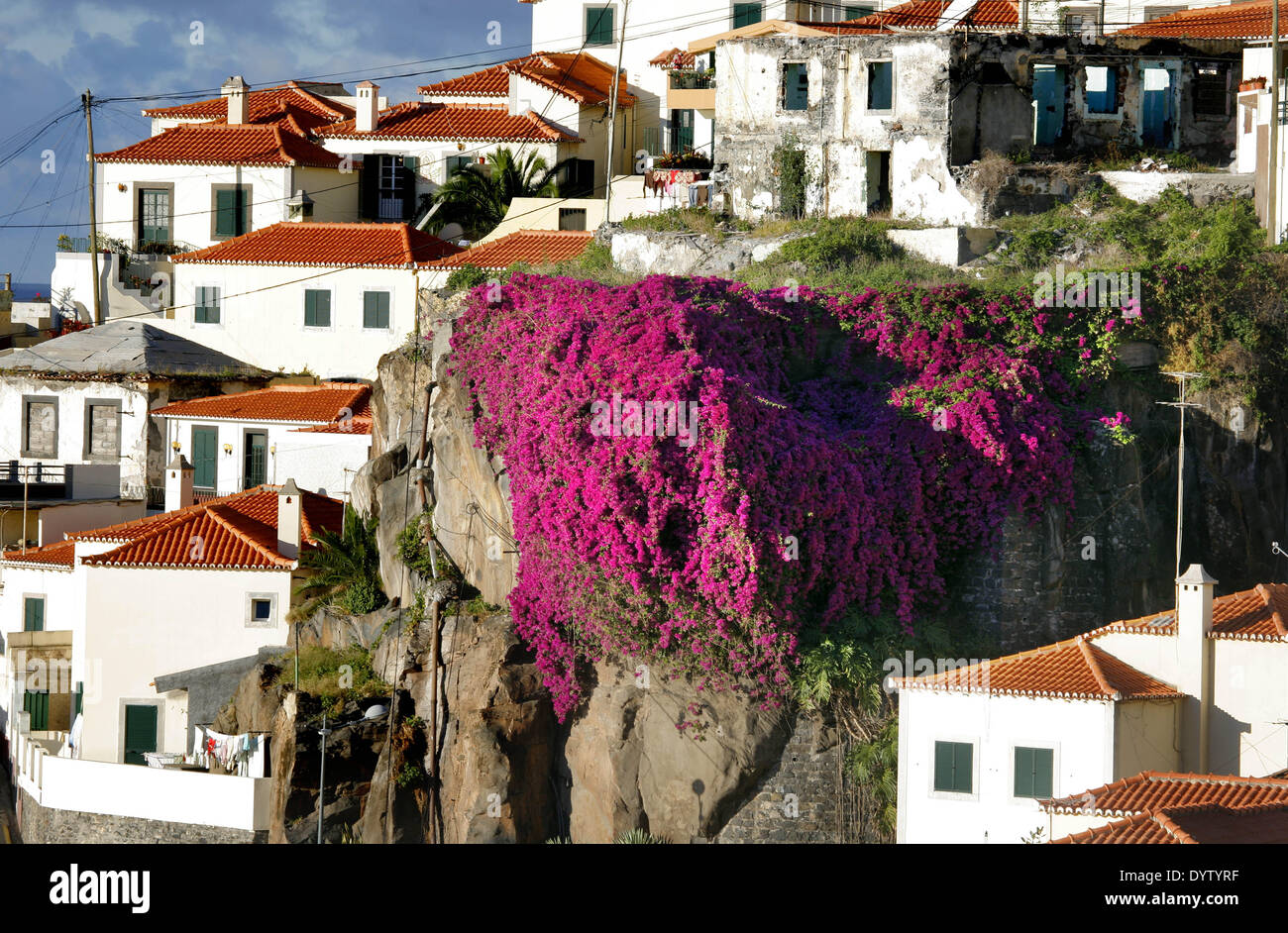 Camara De Lobos Stock Photo Alamy